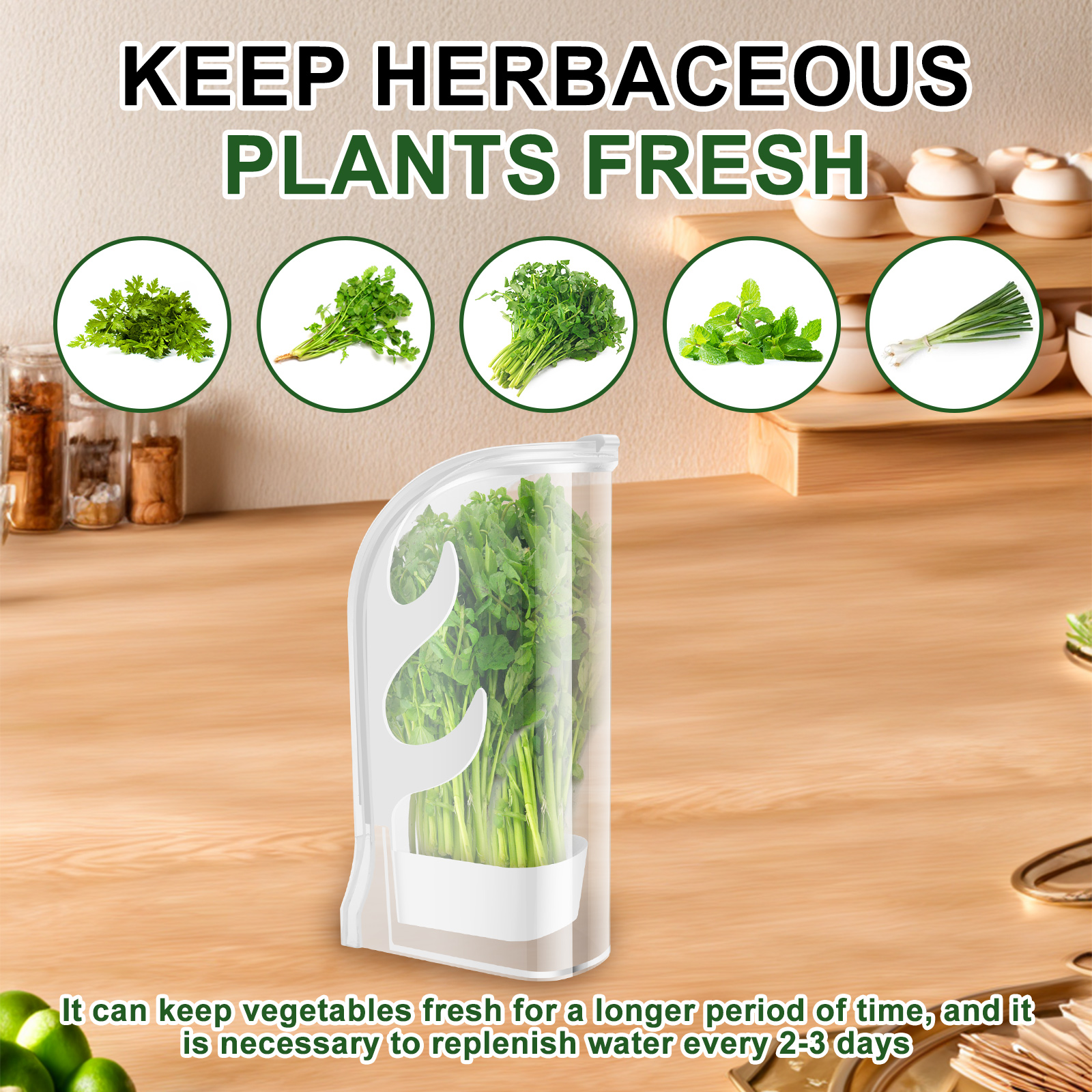Herb Crisper Saver Container R - Kitchen Gadgets Modern recension och pris